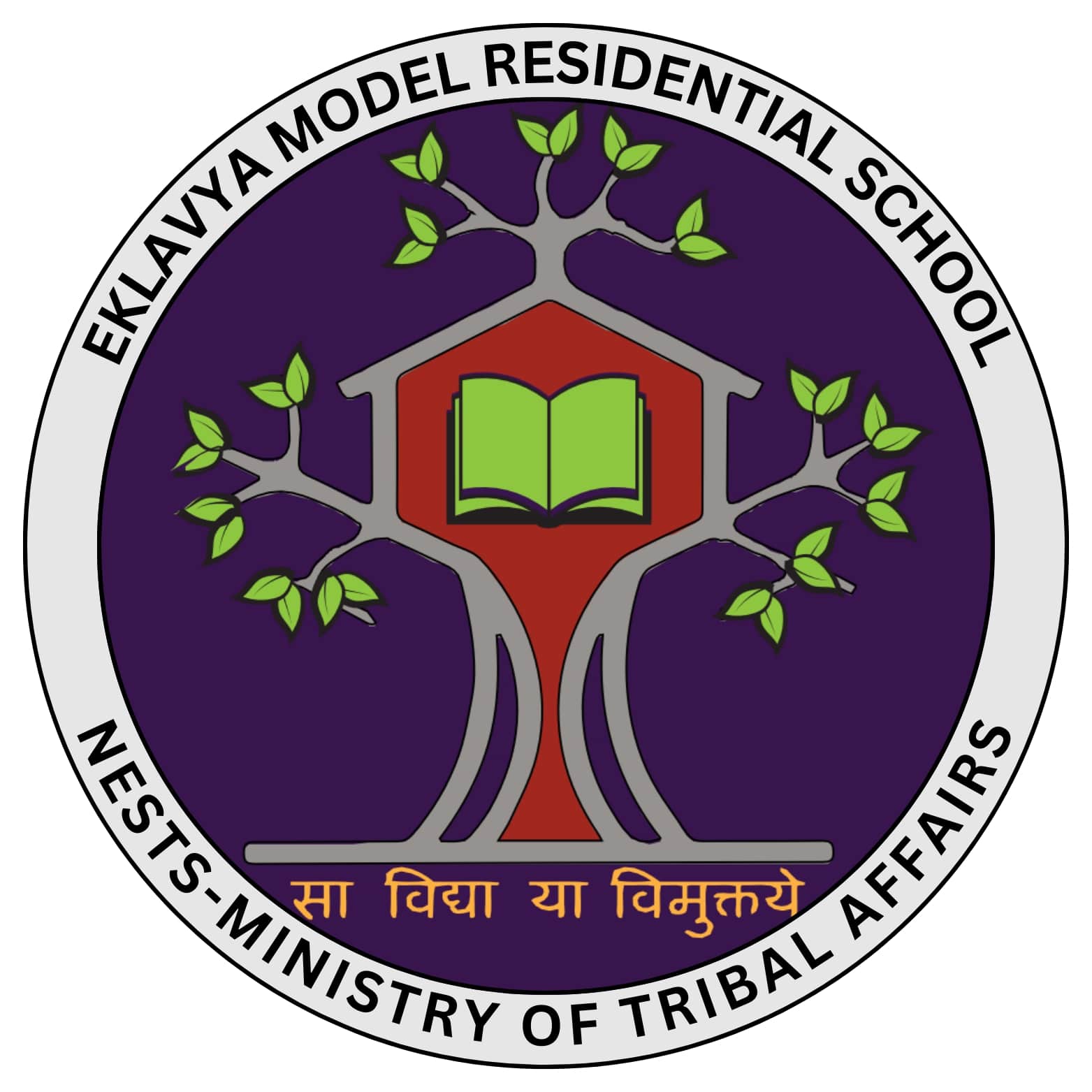 Eklavya Model Residential School (EMRS),ChhoteMudpar